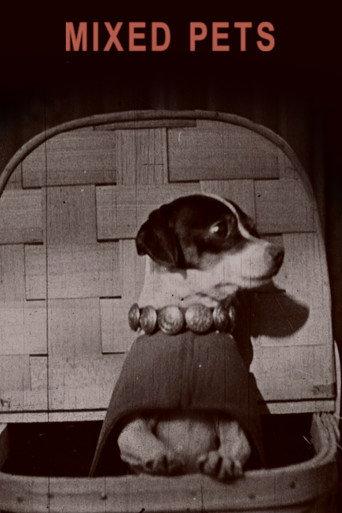 Mixed Pets (1911) poster