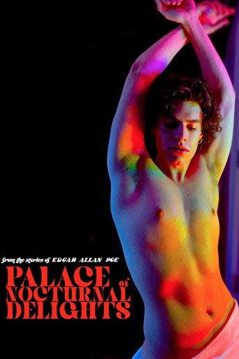 Palace of Nocturnal Delights (2024) poster