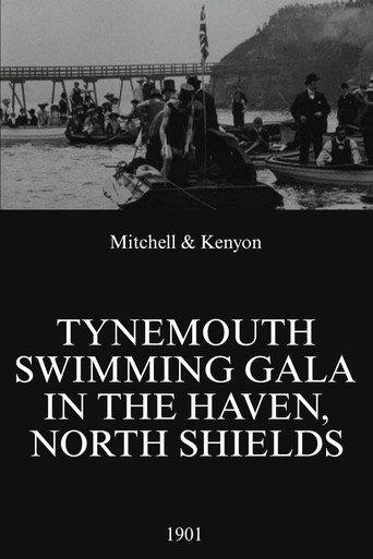 Tynemouth Swimming Gala in the Haven, North Shields (1901) poster