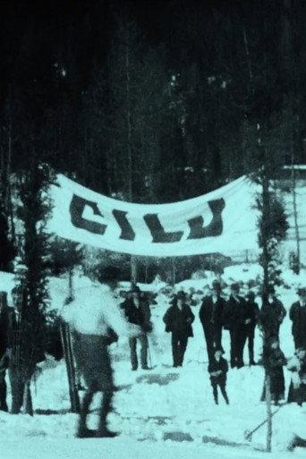 Skiing Competition for the Skiing Championship of Yugoslavia in Planica Near Rateče (1922) poster