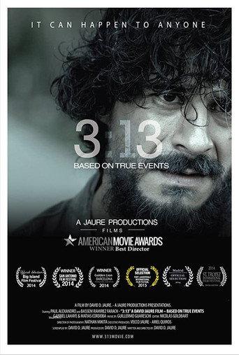 3:13 (2015) poster