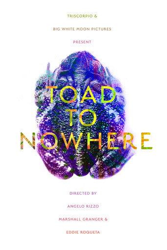 Toad to Nowhere () poster