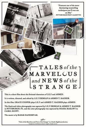 Tales of the Marvelous and News of the Strange (2021) poster