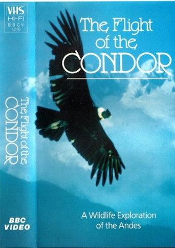 The Flight of the Condor (1985) poster