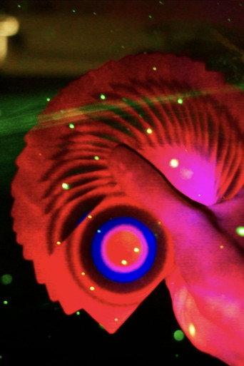 Dirty Eye (2025) poster