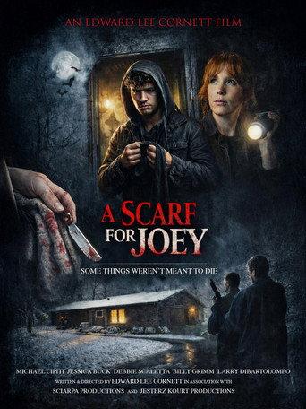 A Scarf for Joey (2026) poster