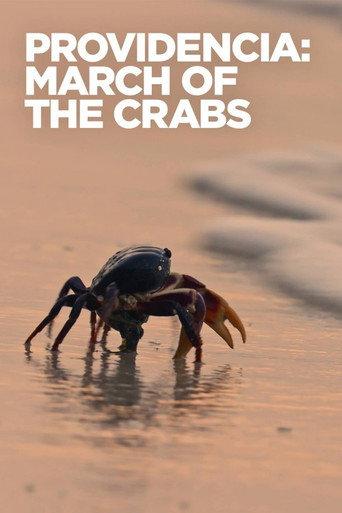 Providencia March of the Crabs (2020) poster