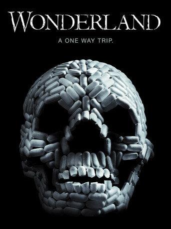 VIViD (2011) poster