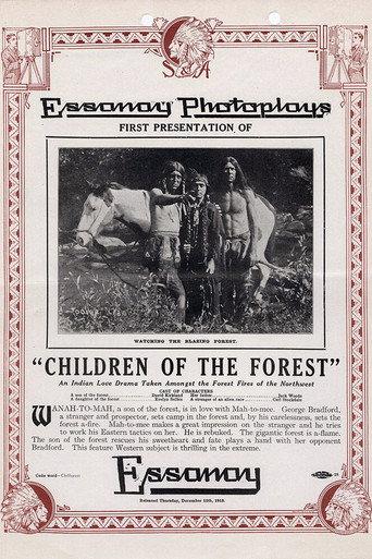 Children of the Forest (1913) poster
