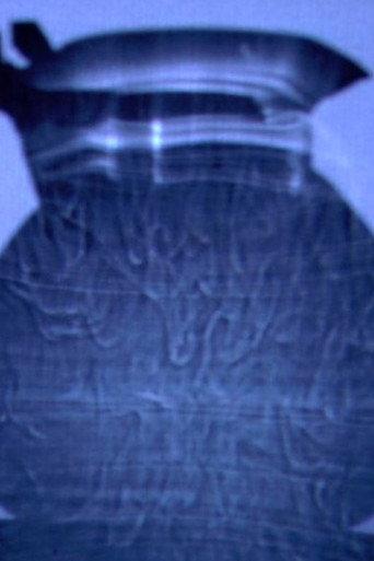 A Teakettle’s Thermal Beings (2014) poster