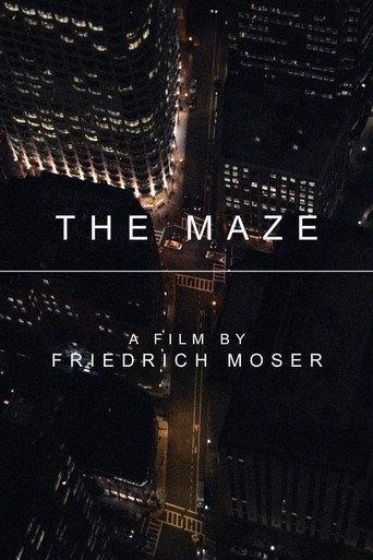 The Maze (2017) poster