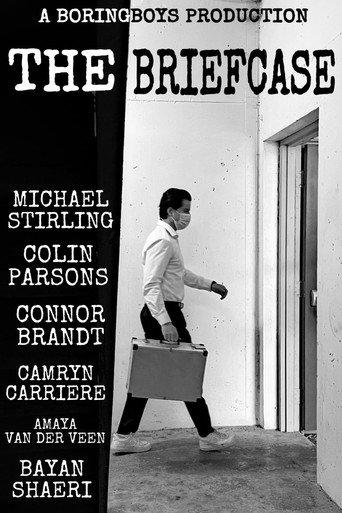 The Briefcase () poster