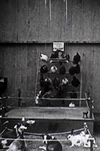 The Knockout (1923) poster