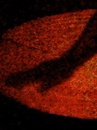 Materia Obscura (2009) poster