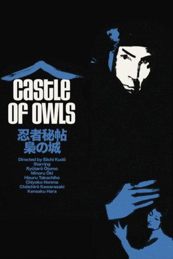 Castle of Owls (1963) poster