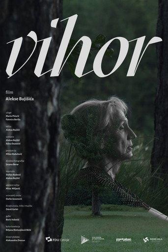 Whirlwind (2026) poster