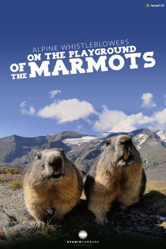 Alpine Whistleblowers - on the playground of the marmots (2018) poster