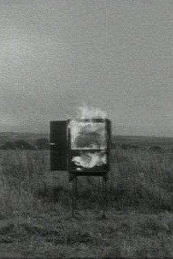 TV Interruptions: Burning TV (1971) poster