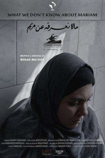 What We Don't Know About Mariam (2021) poster