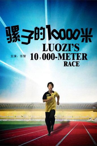 骡子的10000米 (2012) poster