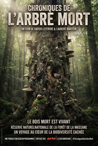 Chroniques de l'arbre mort (2026) poster