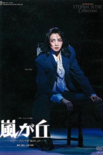 Wuthering Heights (1997) poster