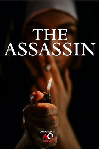 The Assassin () poster