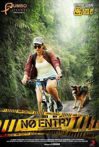 No Entry () poster