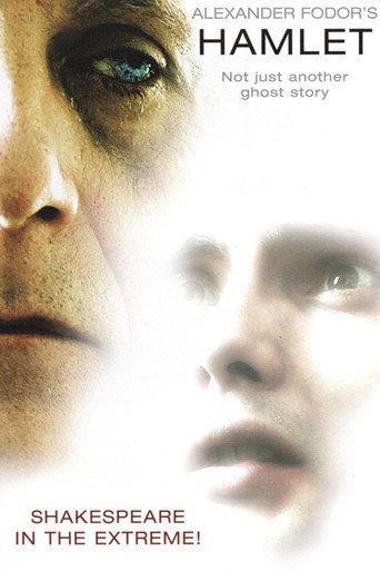 Fodor's Hamlet (2007) poster