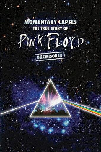 Pink Floyd: Momentary Lapses - The True Story of Pink Floyd (2010) poster