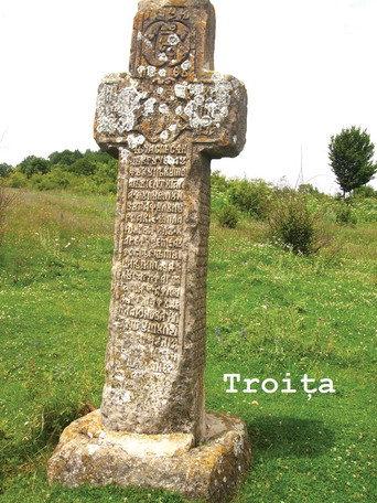 Troița (1991) poster