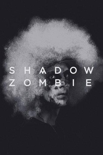 Shadow Zombie (2013) poster
