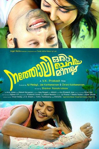 Natholi Oru Cheriya Meenalla (2013) poster