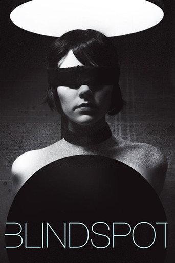 Blindspot (2008) poster