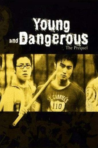 Young and Dangerous: The Prequel (1998) poster