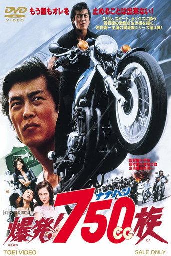Hell Riders (1976) poster