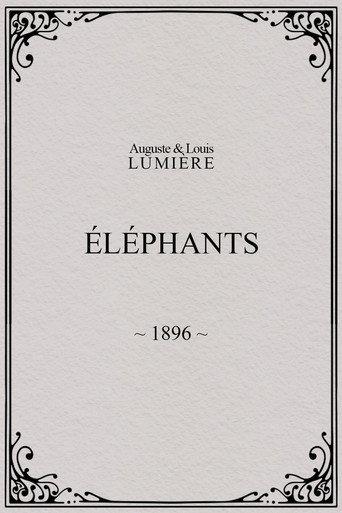 Elephants (1896) poster