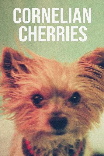 Cornelian Cherries (2020) poster