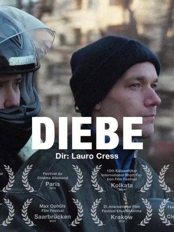 Thieves (2014) poster