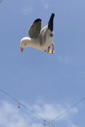 Double Jump (2024) poster