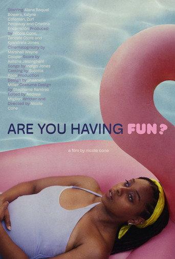 Are You Having Fun? () poster