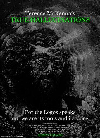 Terence McKenna's True Hallucinations (2016) poster