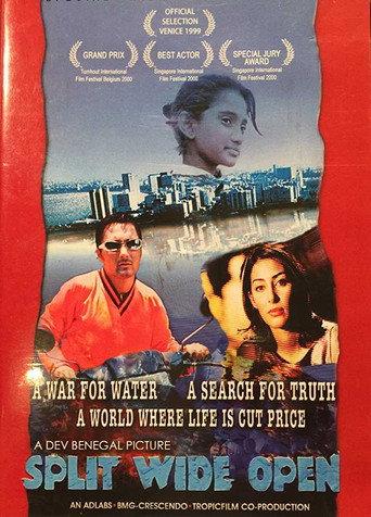 Split Wide Open (1999) poster