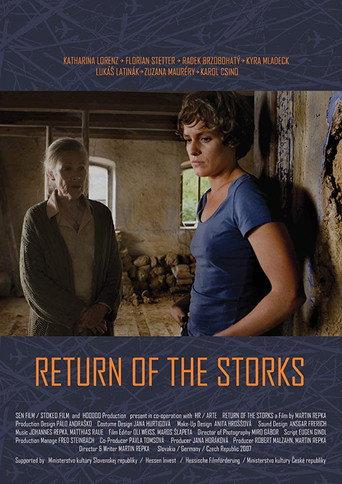 Return of the Storks (2007) poster