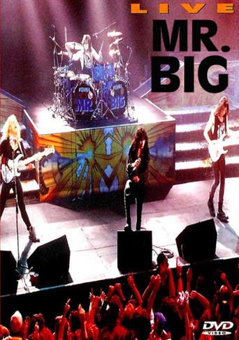 Mr. Big: Live (1992) poster