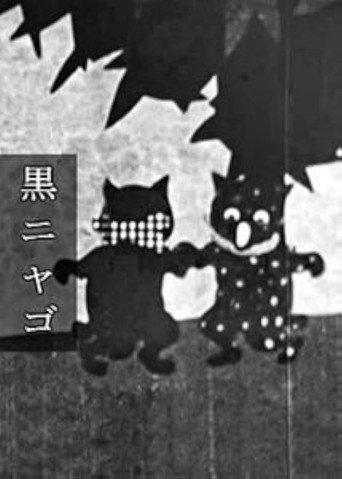 The Black Cat (1929) poster