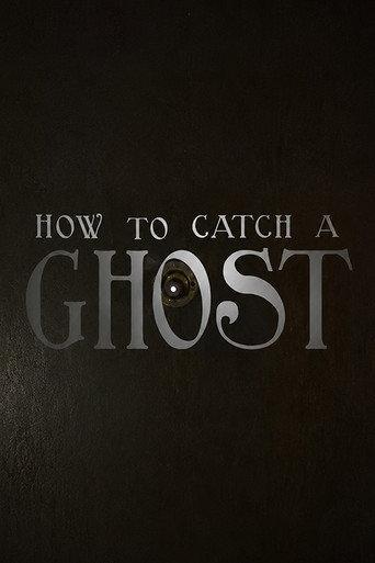 How To Catch A Ghost (2016) poster
