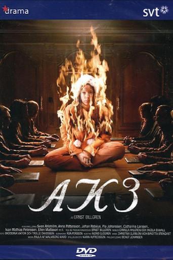 AK3 - Dolda beslut (2006) poster