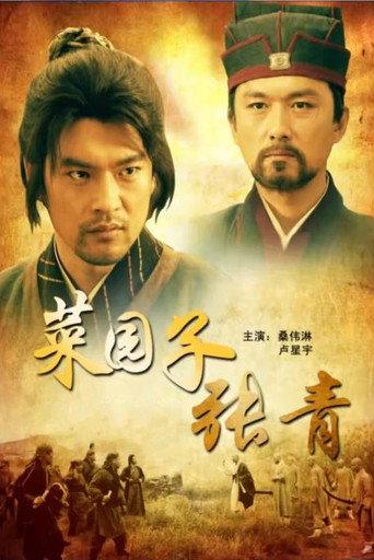 菜园子张青 (2012) poster