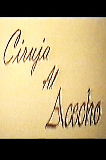 Ciruja al acecho (1998) poster